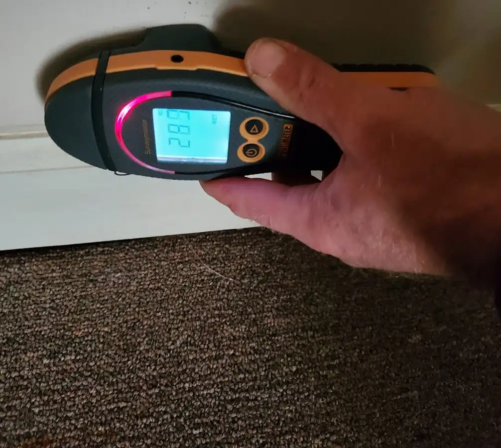 Moisture detection at baseboard during Burst Pipe Cleanup in Mineola